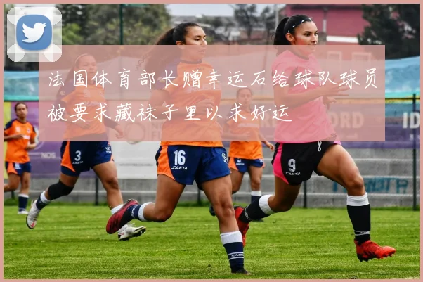 法国体育部长赠幸运石给球队球员被要求藏袜子里以求好运