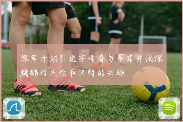 绿军计划引进字母哥与墨菲并试探鹈鹕对杰伦和怀特的兴趣