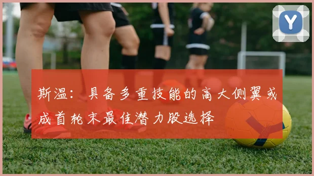 斯温：具备多重技能的高大侧翼或成首轮末最佳潜力股选择